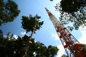 torre