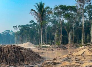 Operação combate garimpo ilegal no Parque Nacional dos Campos Amazônicos