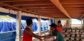 Ajuda Humanitária chega às famílias afetadas pela cheia em Manicoré