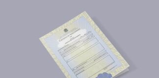 Mudança de nome em cartório cresce no AM; entenda as regras da legislação