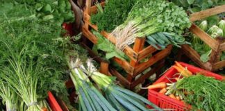 Custo de cesta básica ideal para uma pessoa chega a R$ 432 em abril