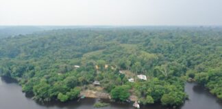 TCE-AM lança pesquisa para identificar ações sustentáveis nos municípios do Amazonas