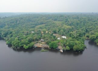 TCE-AM lança pesquisa para identificar ações sustentáveis nos municípios do Amazonas