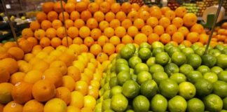 Índia abre o mercado para limão, laranja e tangerina brasileiros