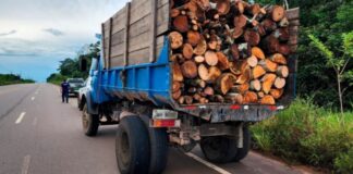 Caminhão com madeira ilegal é multado em R$ 3.600 no Iranduba