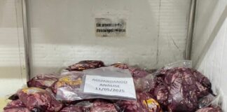 Carnes suspeitas e presença de baratas: supermercado de Manaus é autuado