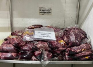 Carnes suspeitas e presença de baratas: supermercado de Manaus é autuado