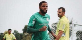 Palmeiras inicia preparação para duelo contra o Chelsea pelo Mundial