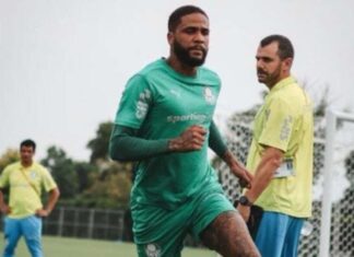 Palmeiras inicia preparação para duelo contra o Chelsea pelo Mundial