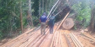 Ipaam aplica R$ 740 mil em multas por crimes ambientais próximos a Manaus