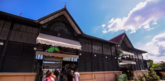 Amazonas registra crescimento de quase 13% no número de turistas no 1° quadrimestre de 2025