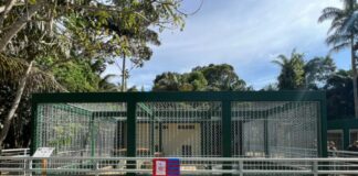Centro de Instrução de Guerra na Selva inaugura novo recinto das onças