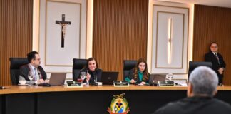 TCE-AM adota novo formato para pedidos de sustentação oral, que agora devem ser feitos pelo DEC