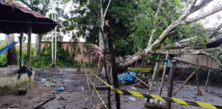 Temporal em Barcelos derruba árvore sobre alojamento improvisado de indígenas Yanomami