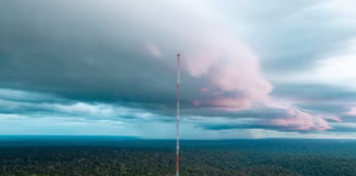 Poeira do Saara cruzou 5 mil km até a Amazônia e ajuda a repor minerais perdidos em queimadas, dizem pesquisadores 6d42bd29 70b7 4115 9436 2109cc6dd5d9