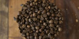 Tarifaço pode impactar vendas de suco de laranja, café, carne e frutas Alimento d24am 1024x613