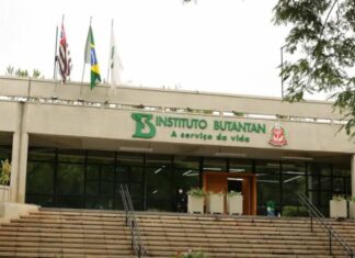 Butantan se prepara para testar vacina contra gripe aviária em humanos