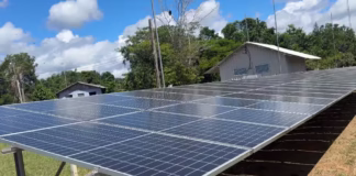 Negócios comunitários reduzem desmatamento em 28% na Amazônia com apoio da tecnologia