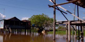 Cheia dos rios no Amazonas força fechamento de escola e alunos têm aulas remotas em comunidade ribeirinha Careiro.0cheia g1