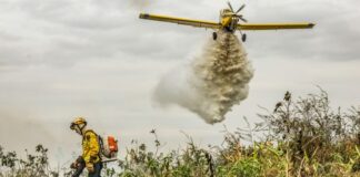 Combate a incêndios no Cerrado e Pantanal poderão ser financiadas pelo Fundo Amazônia Combate incendios d24am