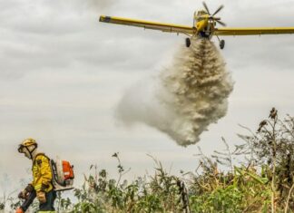 Combate a incêndios no Cerrado e Pantanal poderão ser financiadas pelo Fundo Amazônia Combate incendios d24am