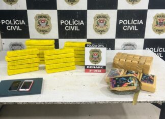 Operação desarticula grupo por tráfico interestadual de drogas no AM, SP e ES Droga interestadual am d24am 1