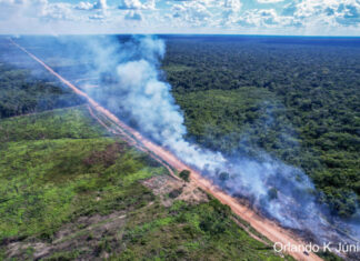 Veto de Lula contra liberação da BR-319 terá reação no Senado Default