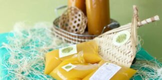 Após polêmica, COP30 vai permitir pratos paraenses como açaí e tucupi Cop30 d24am 1024x613