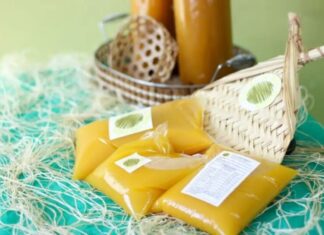 Após polêmica, COP30 vai permitir pratos paraenses como açaí e tucupi Cop30 d24am 1024x613