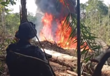 Heliporto clandestino é destruído no interior do Amazonas durante operação; dono é preso em flagrante Whatsapp image 2025 08 18 at 10.08.00