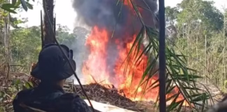 Heliporto clandestino é destruído no interior do Amazonas durante operação; dono é preso em flagrante Whatsapp image 2025 08 18 at 10.08.00