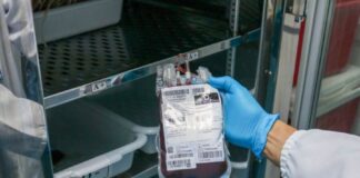 Estoque de sangue do Hemoam está em alerta e hemocentro convoca doadores Estoque de sangue d24am 1024x683