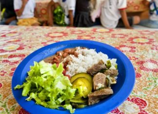 Unesco chama atenção para qualidade das refeições escolares no mundo Alimentacao escolas d24am