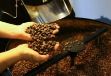 Indústria do café prevê alta de até 15% nos preços nos próximos dias Cafeeiro d24am 1024x610