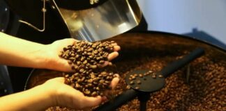 Indústria do café prevê alta de até 15% nos preços nos próximos dias Cafeeiro d24am 1024x610