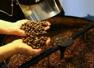 Indústria do café prevê alta de até 15% nos preços nos próximos dias Cafeeiro d24am 1024x610