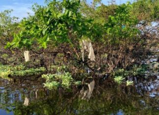 Estudo aponta que a Amazônia tem o 2º rio mais poluído por plástico do mundo Lixo rio am d24am 1024x497