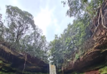 Expedição de 6 dias em mata fechada revelou cachoeira de 35 metros em Presidente Figueiredo, no AM Nova cachoeira descoberta em presidente figueiredo e batizada de gigante do apuau foto arquivo pessoal
