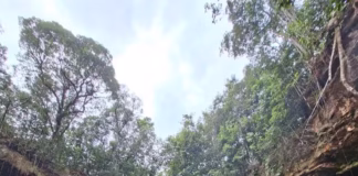 Expedição de 6 dias em mata fechada revelou cachoeira de 35 metros em Presidente Figueiredo, no AM Nova cachoeira descoberta em presidente figueiredo e batizada de gigante do apuau foto arquivo pessoal