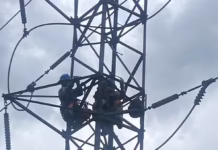 Bairros da Zona Norte de Manaus ficam sem energia após preguiça subir em linha de transmissão