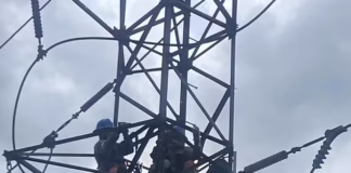 Bairros da Zona Norte de Manaus ficam sem energia após preguiça subir em linha de transmissão