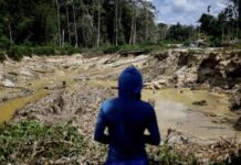 PF apreende R$ 28 milhões em barras de ouro em Roraima