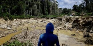 PF apreende R$ 28 milhões em barras de ouro em Roraima