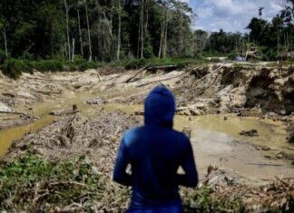 PF apreende R$ 28 milhões em barras de ouro em Roraima