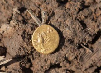 Arqueólogos encontram tesouro com 500 moedas de ouro e prata da era celta Moedas d24am 1024x682