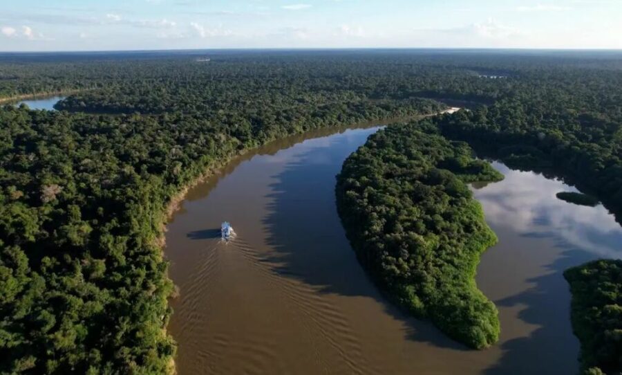 amazonia_D24am-1024x617