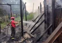 Avô e neto morrem carbonizados em incêndio em casa de madeira no interior do AM