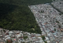Manaus faz 356 anos entre o verde da floresta que resiste e o cinza da cidade que cresce