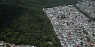 Manaus faz 356 anos entre o verde da floresta que resiste e o cinza da cidade que cresce