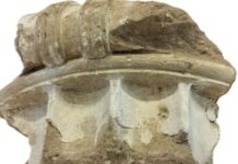 Mulher devolve relíquia grega 50 anos após roubá-la